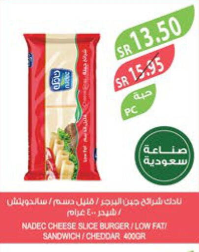 NADEC Slice Cheese  in Farm  in KSA, Saudi Arabia, Saudi - Tabuk