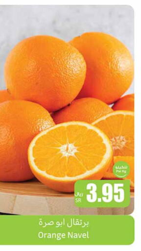  Orange  in Othaim Markets in KSA, Saudi Arabia, Saudi - Medina