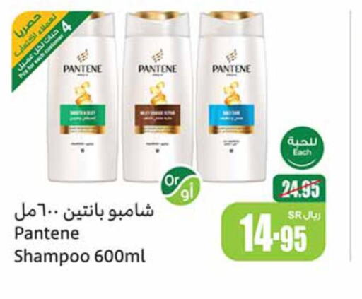 PANTENE Shampoo / Conditioner  in Othaim Markets in KSA, Saudi Arabia, Saudi - Jeddah