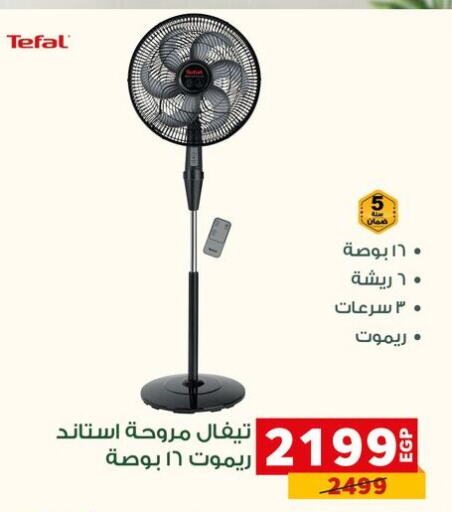 TEFAL Fan  in بنده in Egypt - القاهرة