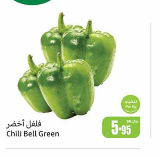  Chilli / Capsicum  in أسواق عبد الله العثيم in مملكة العربية السعودية, السعودية, سعودية - الجبيل‎