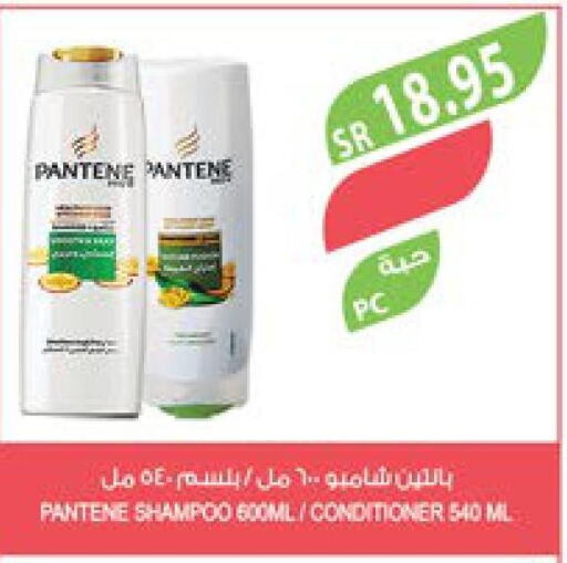 PANTENE Shampoo / Conditioner  in Farm  in KSA, Saudi Arabia, Saudi - Saihat