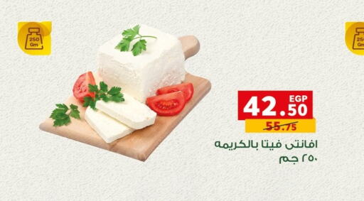  Feta  in بنده in Egypt - القاهرة