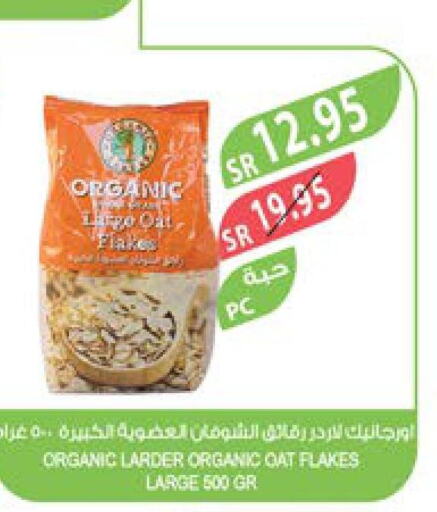  Oats  in المزرعة in مملكة العربية السعودية, السعودية, سعودية - سيهات