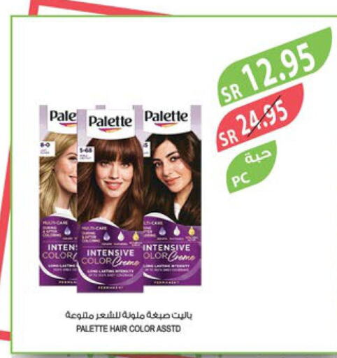 PALETTE Hair Colour  in المزرعة in مملكة العربية السعودية, السعودية, سعودية - سيهات