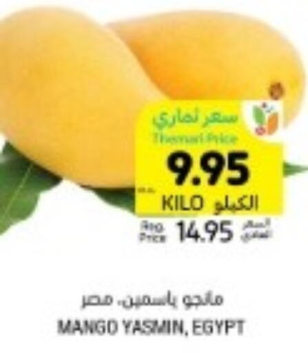 Mango Mango  in Tamimi Market in KSA, Saudi Arabia, Saudi - Tabuk