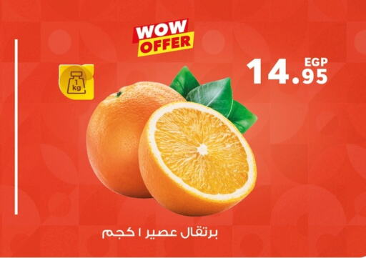  Orange  in بنده in Egypt - القاهرة