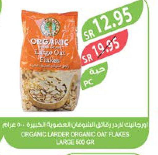  Oats  in المزرعة in مملكة العربية السعودية, السعودية, سعودية - ينبع