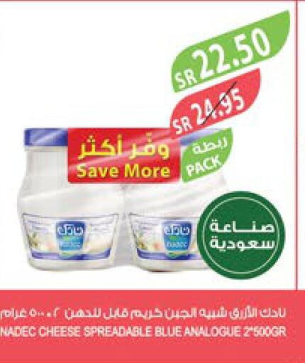 NADEC Analogue Cream  in Farm  in KSA, Saudi Arabia, Saudi - Khafji