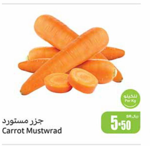  Carrot  in أسواق عبد الله العثيم in مملكة العربية السعودية, السعودية, سعودية - الجبيل‎