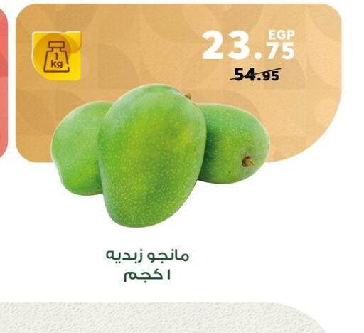 Mango Mango  in بنده in Egypt - القاهرة