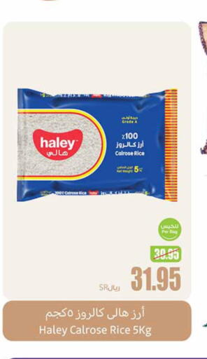 HALEY Egyptian / Calrose Rice  in Othaim Markets in KSA, Saudi Arabia, Saudi - Al Qunfudhah