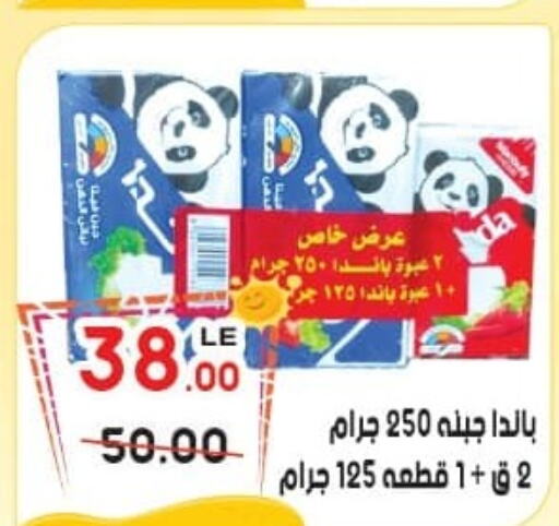 PANDA   in Hyper El Salam  in Egypt - Cairo