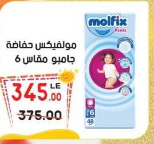 MOLFIX   in Hyper El Salam  in Egypt - Cairo