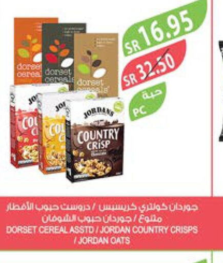 DORSET Oats  in المزرعة in مملكة العربية السعودية, السعودية, سعودية - ينبع