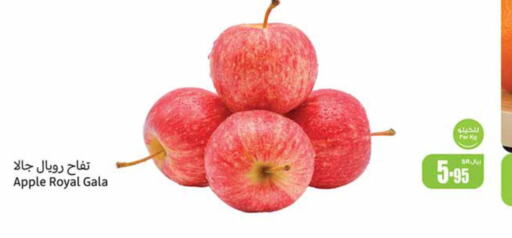  Apples  in أسواق عبد الله العثيم in مملكة العربية السعودية, السعودية, سعودية - وادي الدواسر