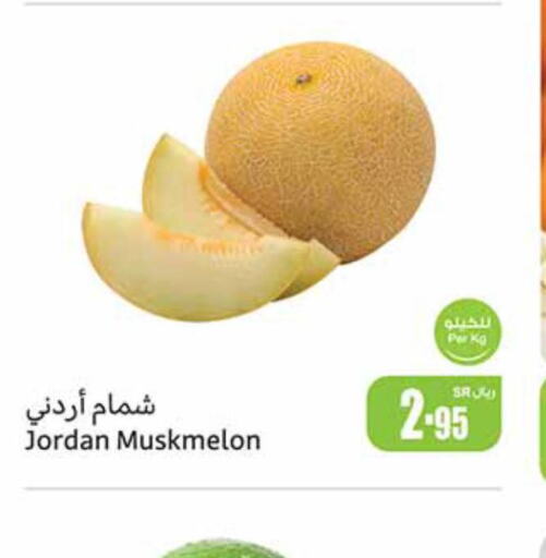 Mango Mango  in Othaim Markets in KSA, Saudi Arabia, Saudi - Medina