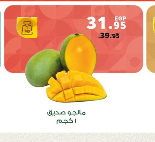 Mango Mango  in بنده in Egypt - القاهرة