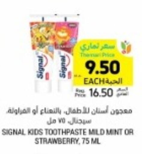 SIGNAL Toothpaste  in Tamimi Market in KSA, Saudi Arabia, Saudi - Jeddah