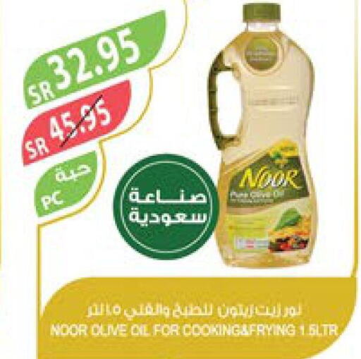 NOOR Olive Oil  in Farm  in KSA, Saudi Arabia, Saudi - Tabuk