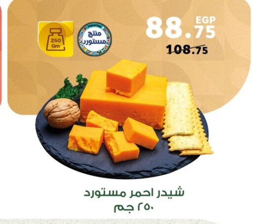  Cheddar Cheese  in بنده in Egypt - القاهرة