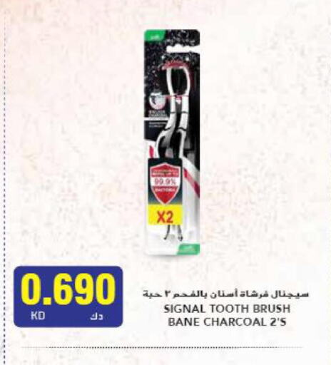 SIGNAL Toothbrush  in Grand Hyper in Kuwait - Ahmadi Governorate