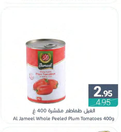  Tomato Paste  in اسواق المنتزه in مملكة العربية السعودية, السعودية, سعودية - سيهات