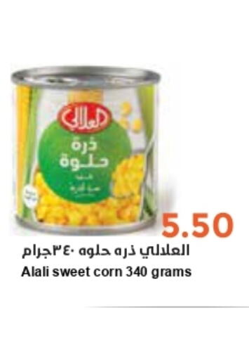 AL ALALI   in Consumer Oasis in KSA, Saudi Arabia, Saudi - Riyadh