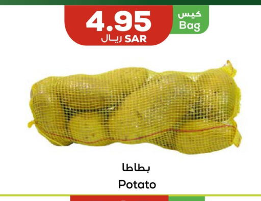  Potato  in أسواق أسترا in مملكة العربية السعودية, السعودية, سعودية - تبوك