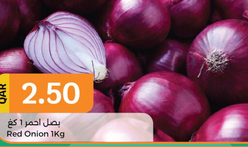  Onion  in سيتي هايبرماركت in قطر - الدوحة