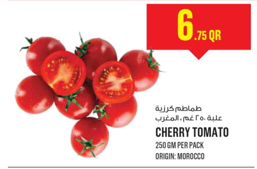  Tomato  in مونوبريكس in قطر - الريان