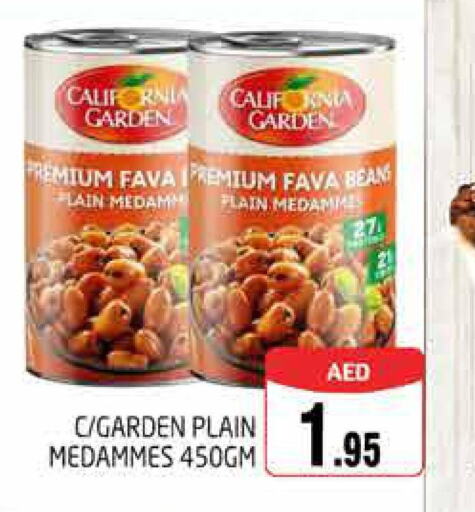 CALIFORNIA GARDEN Fava Beans  in PASONS GROUP in UAE - Dubai