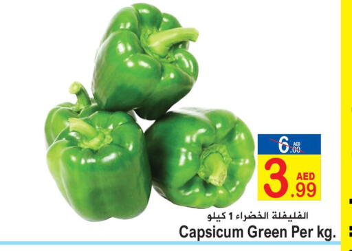  Chilli / Capsicum  in Sun and Sand Hypermarket in UAE - Ras al Khaimah
