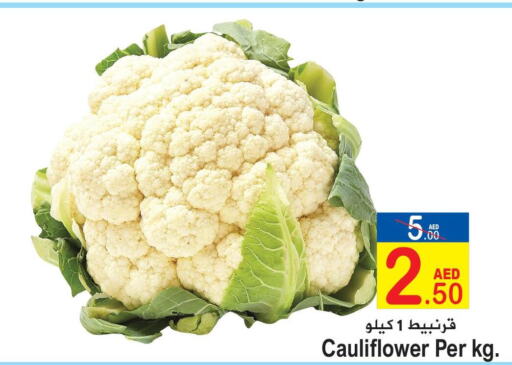 Cauliflower  in Sun and Sand Hypermarket in UAE - Ras al Khaimah