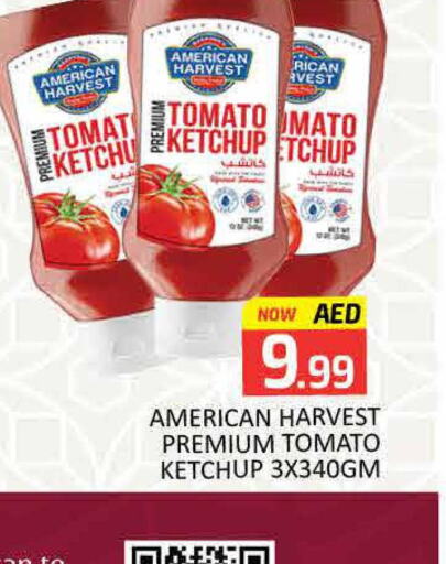 AMERICAN HARVEST Tomato Ketchup  in Mango Hypermarket LLC in UAE - Dubai