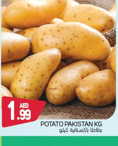  Potato  in سوق المبارك هايبرماركت in الإمارات العربية المتحدة , الامارات - الشارقة / عجمان