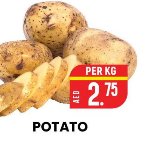  Potato  in الامل هايبرماركت in الإمارات العربية المتحدة , الامارات - رَأْس ٱلْخَيْمَة