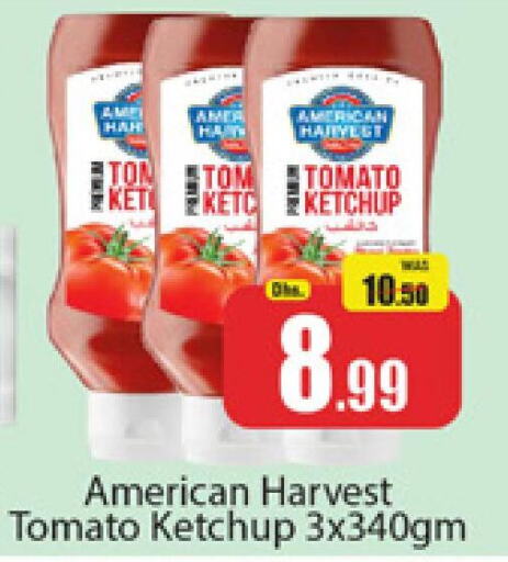 AMERICAN HARVEST Tomato Ketchup  in Al Madina  in UAE - Dubai
