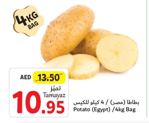  Potato  in تعاونية الاتحاد in الإمارات العربية المتحدة , الامارات - الشارقة / عجمان