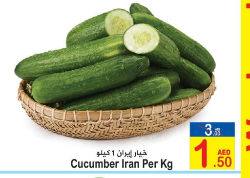  Cucumber  in Sun and Sand Hypermarket in UAE - Ras al Khaimah