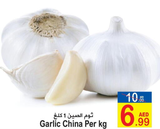  Garlic  in Sun and Sand Hypermarket in UAE - Ras al Khaimah
