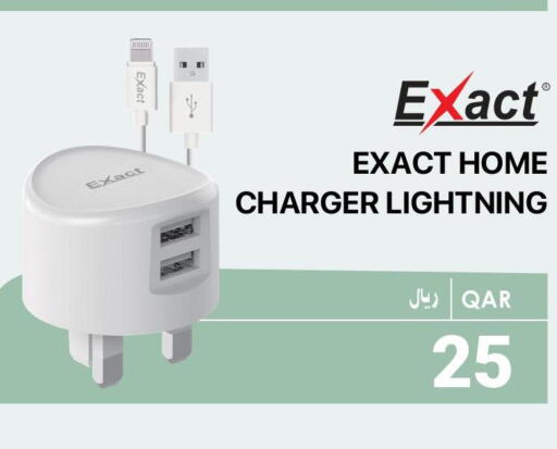  Charger  in RP Tech in Qatar - Al Shamal