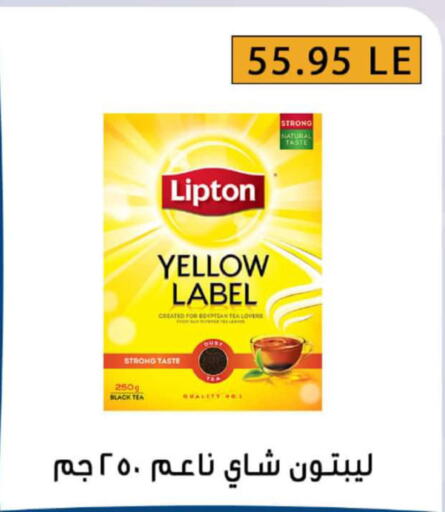Lipton Tea Powder  in Ben Seleman in Egypt - Cairo