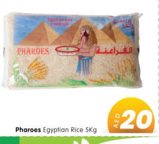  Egyptian / Calrose Rice  in هايبر ماركت المدينة in الإمارات العربية المتحدة , الامارات - أبو ظبي