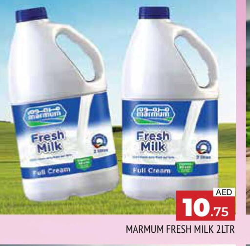 MARMUM Full Cream Milk  in AL MADINA in UAE - Sharjah / Ajman