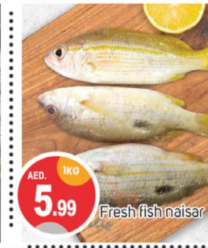  King Fish  in TALAL MARKET in UAE - Sharjah / Ajman
