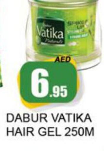 VATIKA Hair Gel & Spray  in Zain Mart Supermarket in UAE - Ras al Khaimah