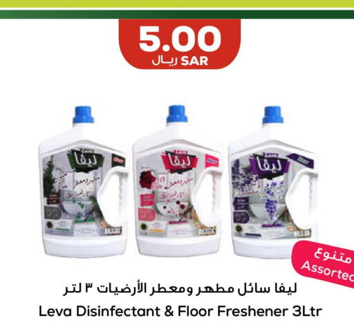  Disinfectant  in Astra Markets in KSA, Saudi Arabia, Saudi - Tabuk