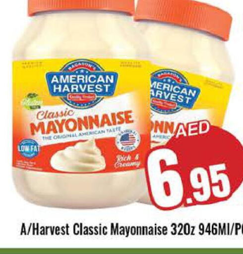 AMERICAN CLASSIC Mayonnaise  in PASONS GROUP in UAE - Dubai