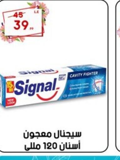 SIGNAL Toothpaste  in Al Morshedy  in Egypt - Cairo